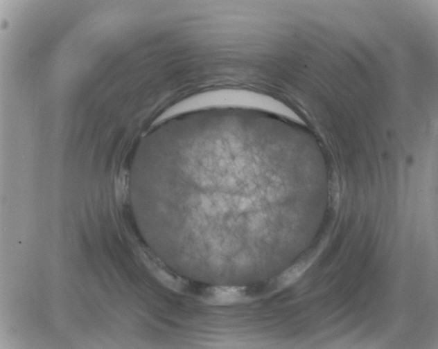 X0000082710093200702232307