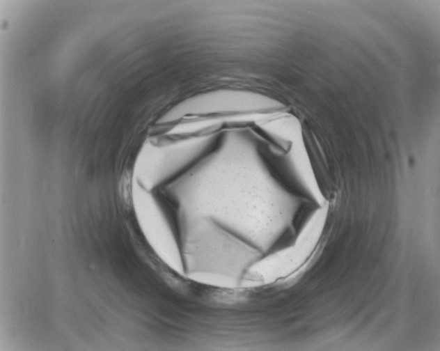 X0000082710094200702232307