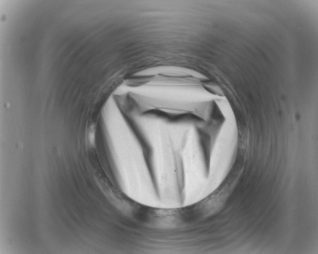 X0000082710095200702232307