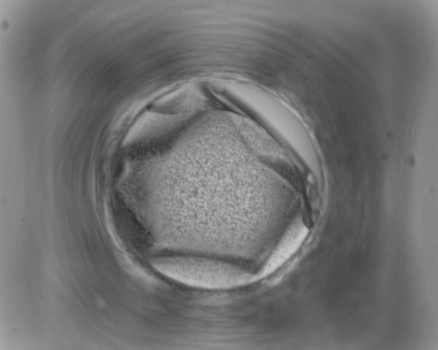 X0000082710097200702232306