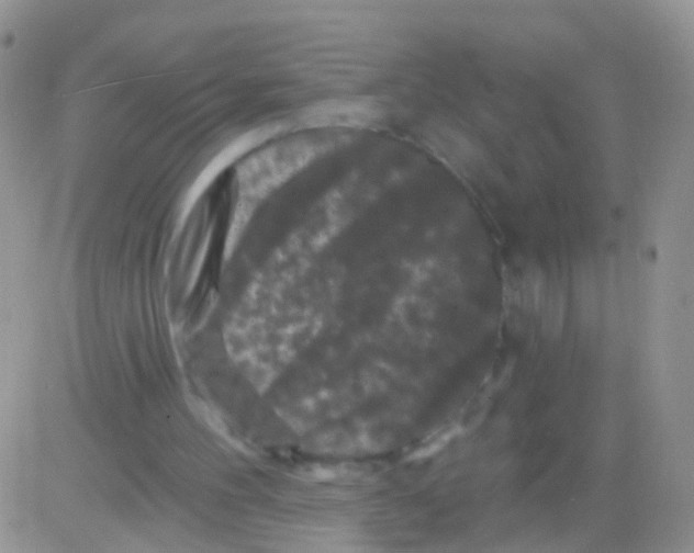 X0000082710100200702232306