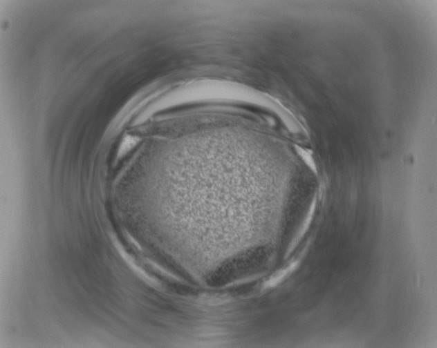 X0000082710101200702232306