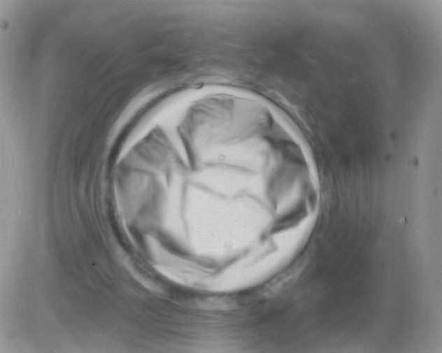 X0000082710102200702232306