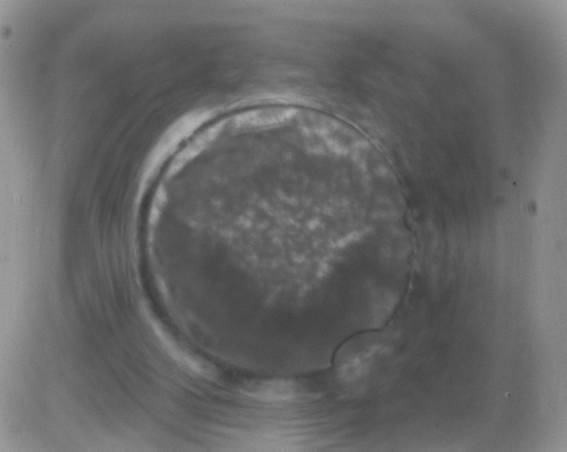 X0000082710104200702232306