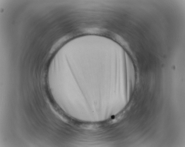 X0000082710106200702232306