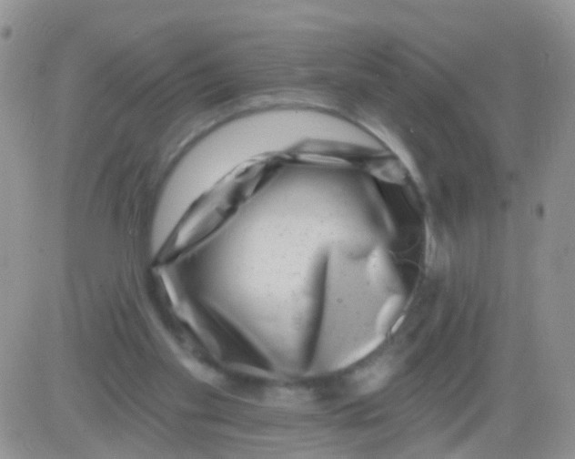 X0000082710109200702232306