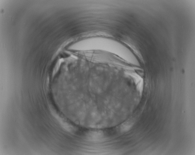 X0000082710110200702232306