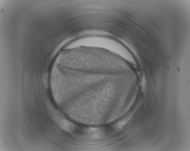 X0000082710111200702232306