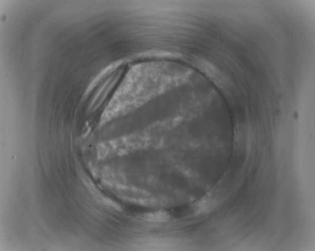 X0000082710112200702232306