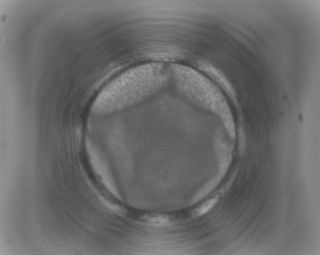 X0000082710113200702232306