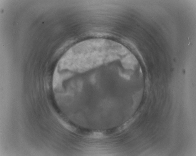 X0000082710114200702232306