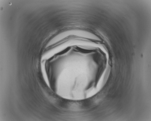 X0000082710115200702232306