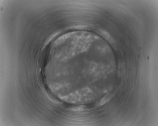 X0000082710116200702232306