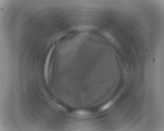 X0000082710117200702232306