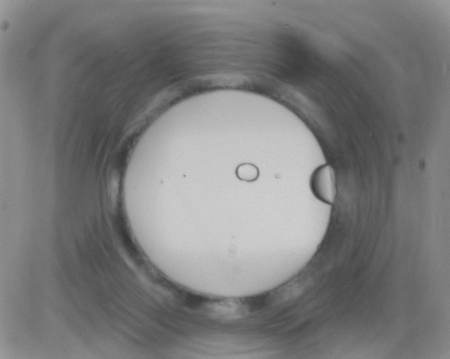 X0000082710118200702232306