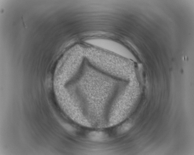 X0000082710119200702232306