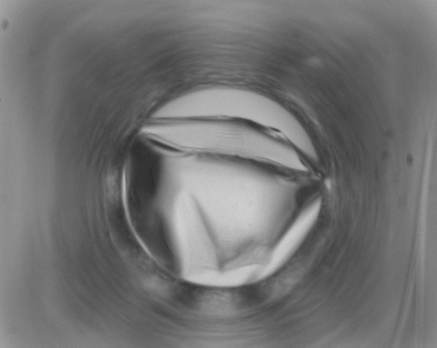 X0000082710123200702232306