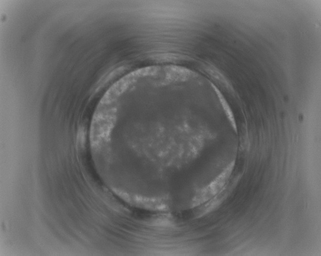 X0000082710124200702232306