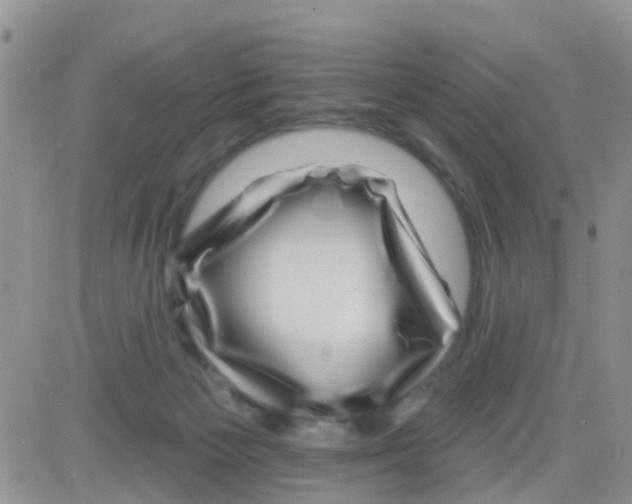 X0000082710125200702232306