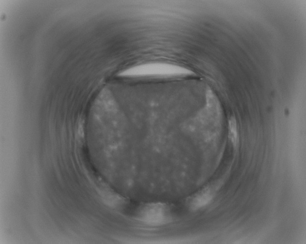 X0000082710127200702232306