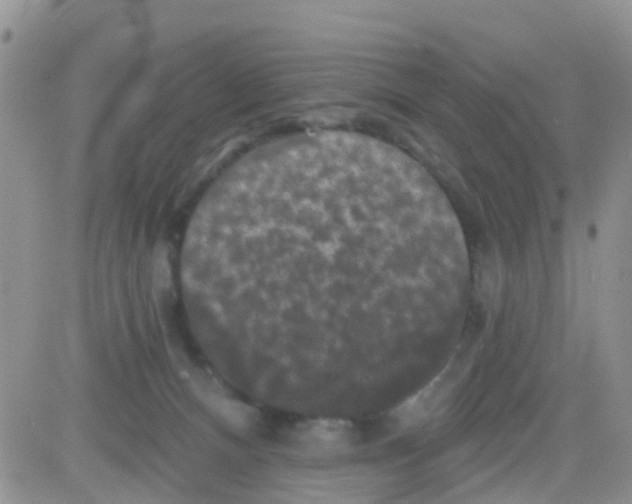 X0000082710128200702232306