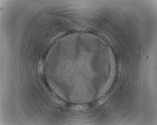 X0000082710129200702232306