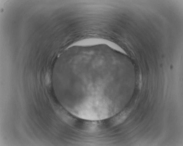 X0000082710131200702232306