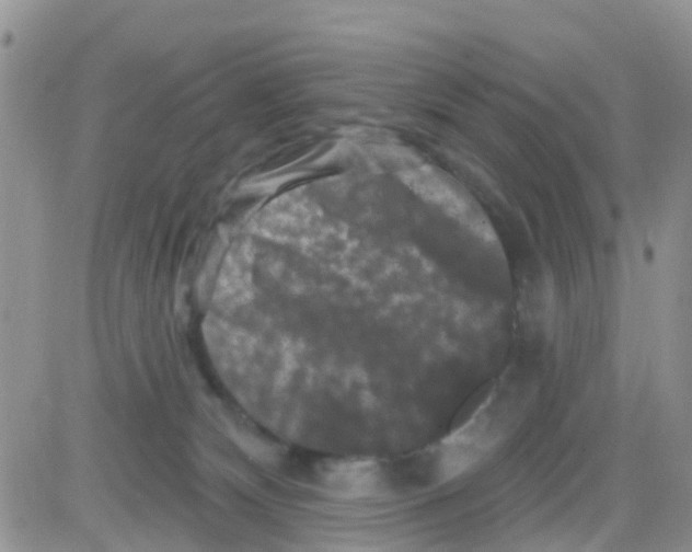 X0000082710132200702232306