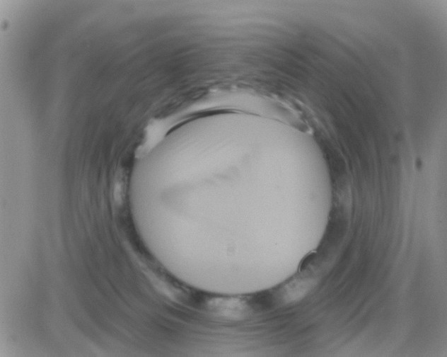 X0000082710133200702232305