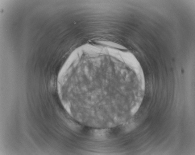 X0000082710134200702232305