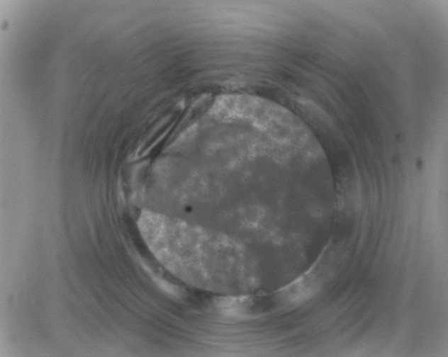 X0000082710136200702232305