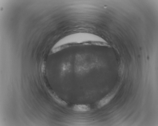 X0000082710137200702232305