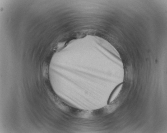 X0000082710138200702232305