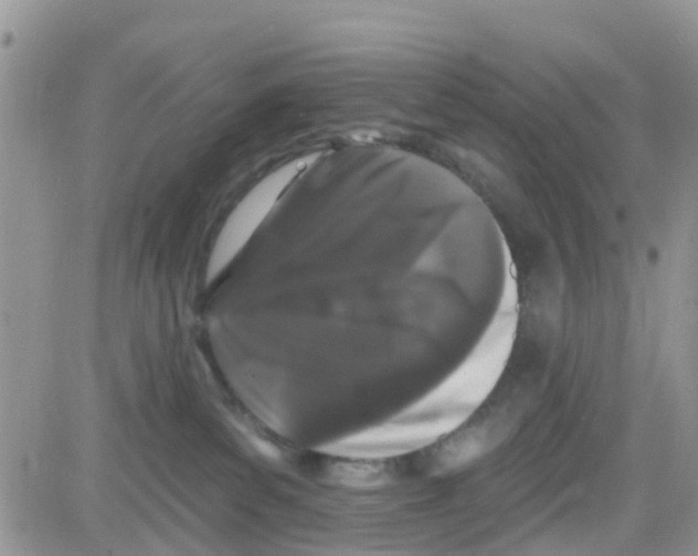 X0000082710139200702232305