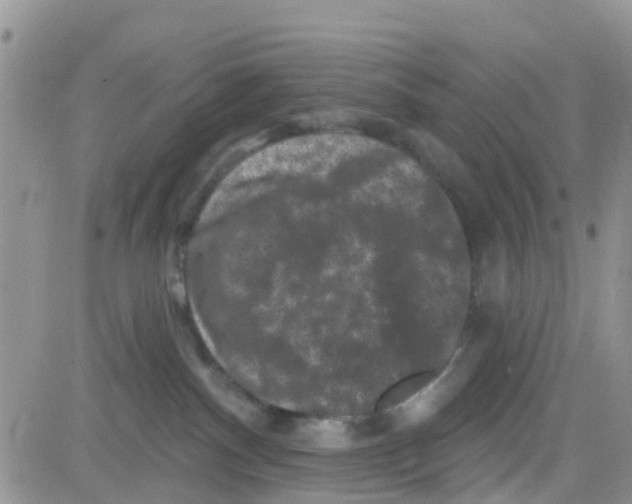 X0000082710140200702232305