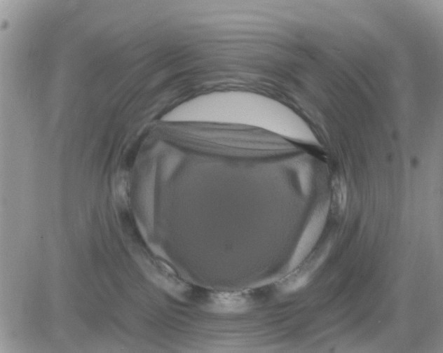 X0000082710141200702232305