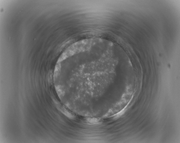 X0000082710144200702232305