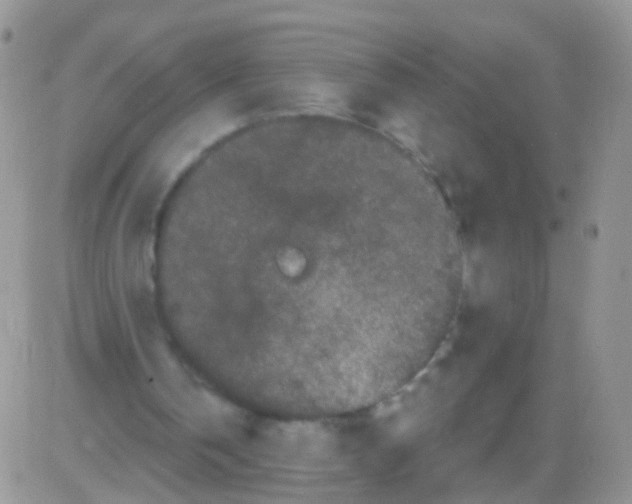 X0000082710146200702232305