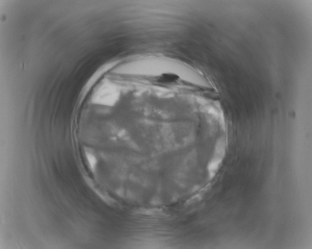 X0000082710147200702232305