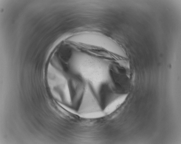 X0000082710148200702232305