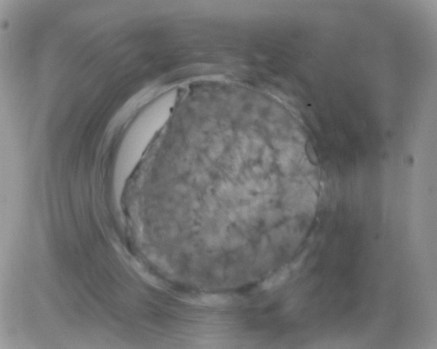 X0000082710149200702232305