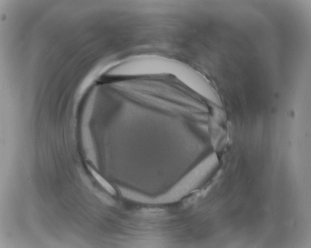 X0000082710150200702232305