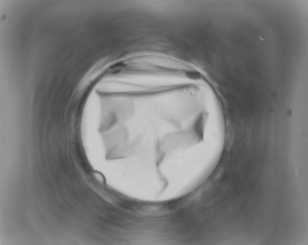 X0000082710151200702232305