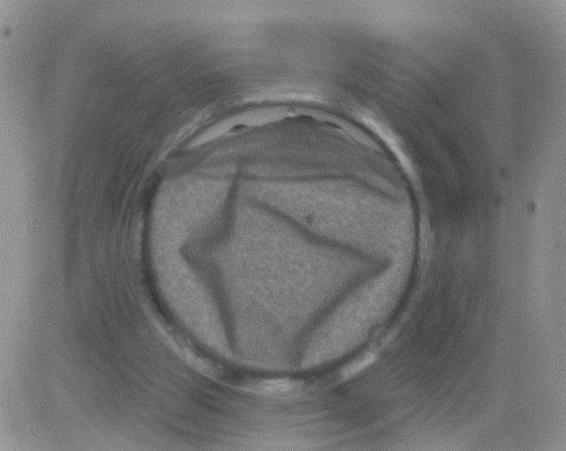 X0000082710153200702232305