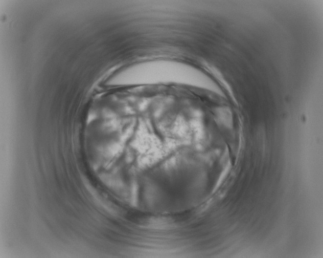 X0000082710154200702232305