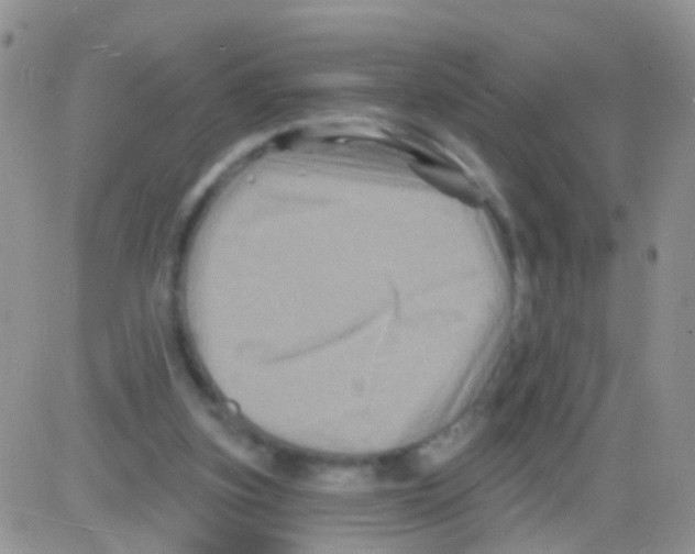 X0000082710155200702232305