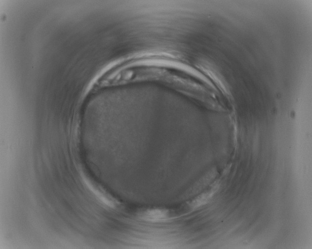 X0000082710156200702232305