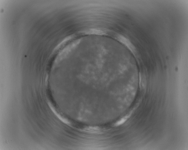 X0000082710157200702232305