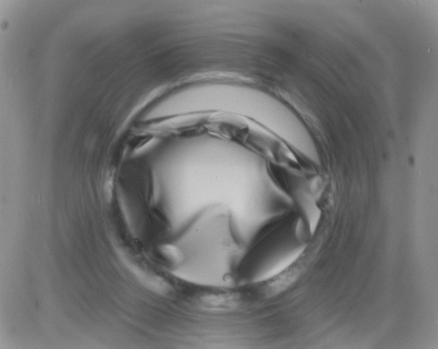 X0000082710160200702232305