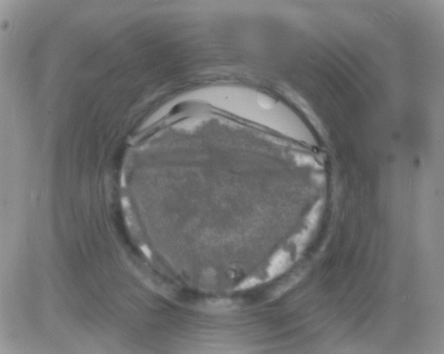 X0000082710161200702232305